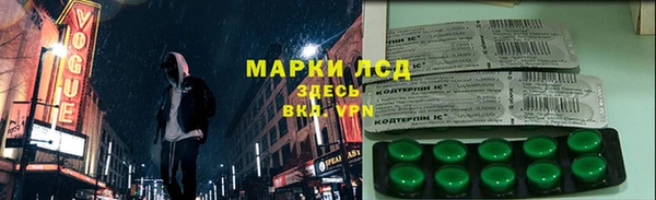 ECSTASY Богданович